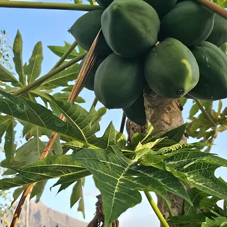 דירה Enchanting Dream View A5, Atalaya In